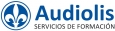 Las pruebas documentales, periciales y la admisión de la prueba digital